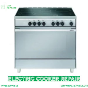 Electric Cooker Repair