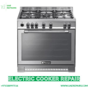 Electric Cooker Repair