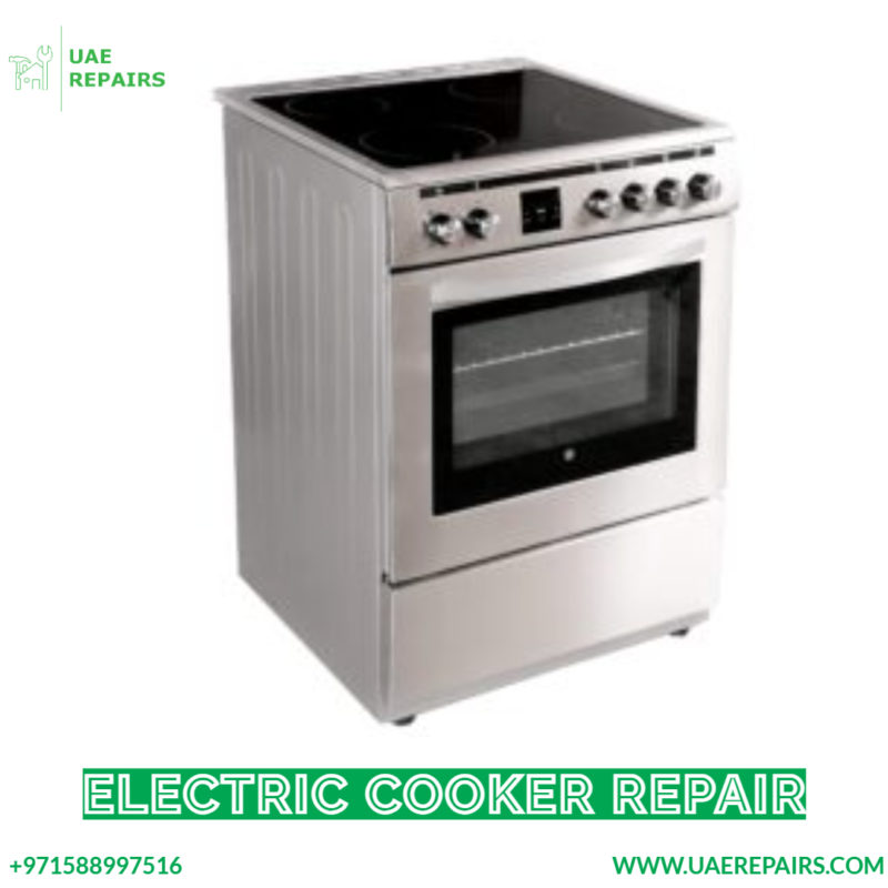 Electric Cooker Repair