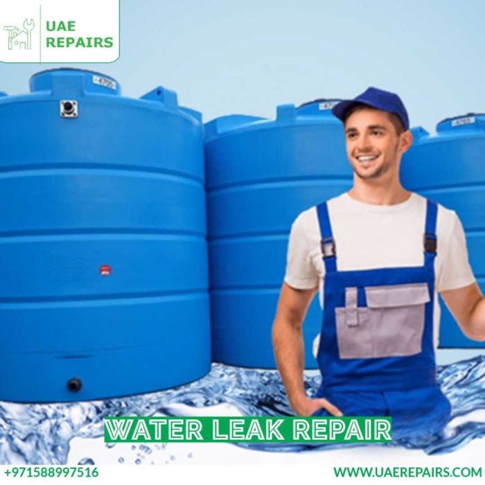 Water Leak Repair