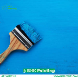 3 BHK Painting