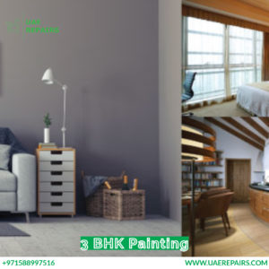 3 BHK Painting