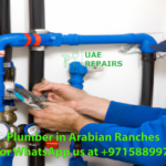 Plumber in Arabian ranches Dubai
