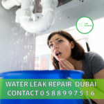 UAE REPAIRS WATER LEAK REPAIR DUBAI