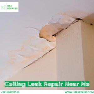 Ceiling Leak Repair Near Me